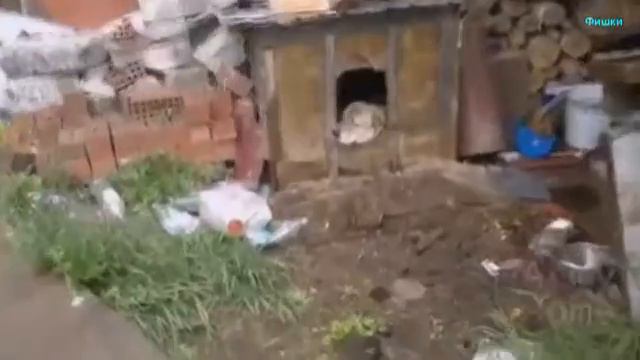 ЛУЧШАЯ ПОДБОРКА ПРИКОЛОВ 2017 ПРО КРАСИВЫХ ДЕВУШЕК КРУТЫХ ПАРНЕЙ смотреть онлайн