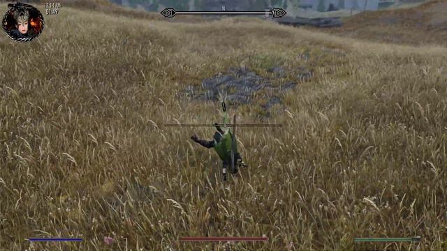 Skyrim SE Test Animation 2