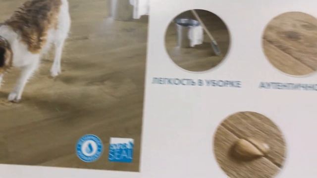 Плюсы ламината Кастамону