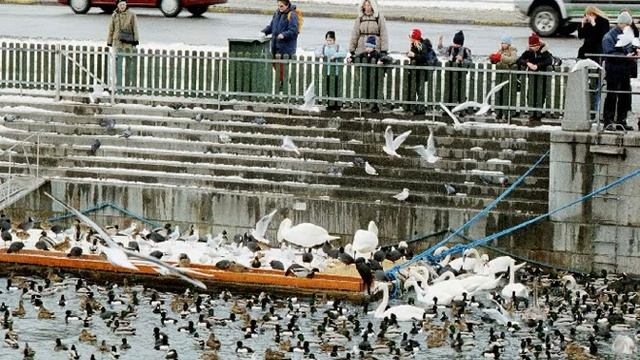 9 класс. Неоконсерватизм «Шведская модель» социализма. смотреть онлайн