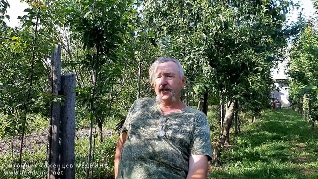 Как ведут себя фундуки на медвежьем орехе смотреть онлайн