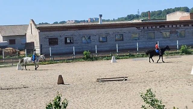 Как зовут лошадей Лакомка, Варяг (чёрный конь), и кедруша смотреть онлайн