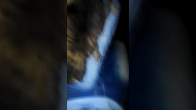 НАШЛИ КОТЯТ!!!! смотреть онлайн