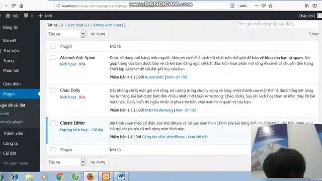 Phần 3 cài plugin class Editor thay đổi mặc định bài viết website WordPress смотреть онлайн