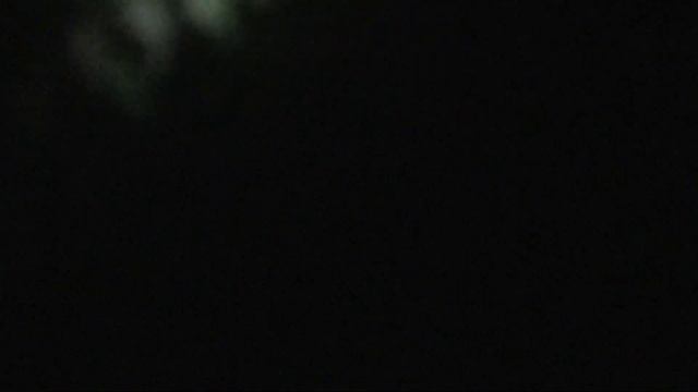 Магазин рыбы и морепродуктов | Океан смотреть онлайн