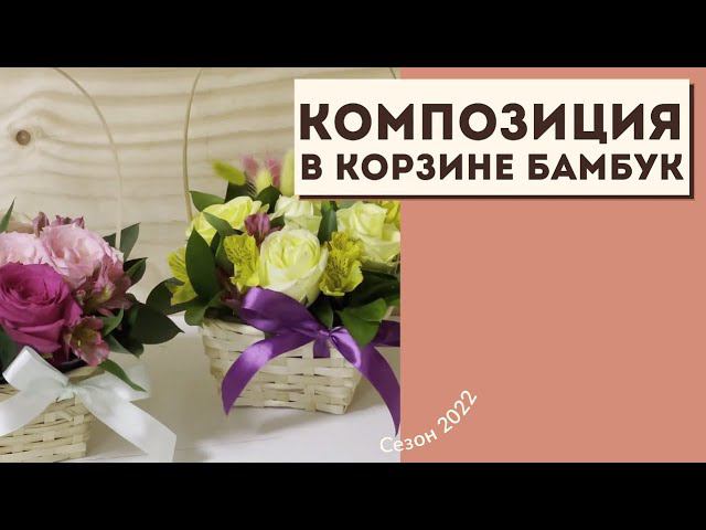 Бамбук KF смотреть онлайн