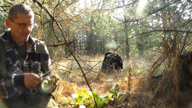 Выживание Осенняя тропа смотреть онлайн