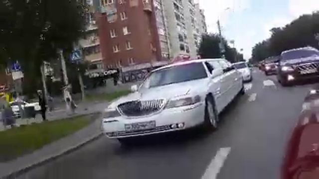 Туй в Тюмень смотреть онлайн
