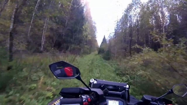 Стелс Гепард 650 и 850 лайт обкатка, на 2х квадриках, спасли грибников. смотреть онлайн