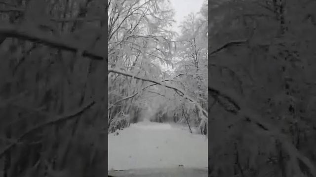 Кукушкин едет на дачу смотреть онлайн