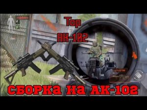 Сборка на AK-102. Нортридж. Arena breakout