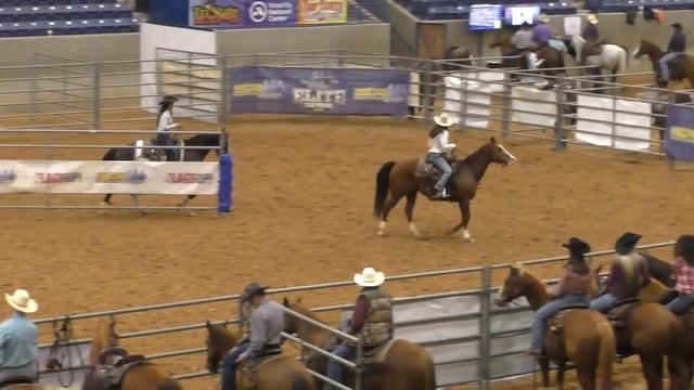 Team Penning #7 3rd Go - 2019 USTPA Panhandle Pen & Sort смотреть онлайн