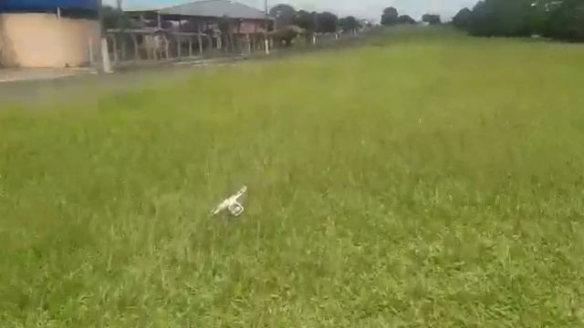 Não compre um Drone antes de assistir esse video смотреть онлайн