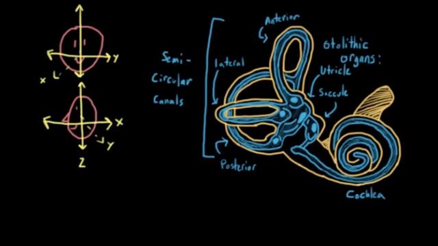 Вестибулярный Аппарат Перевод Андрей Ласкин смотреть онлайн