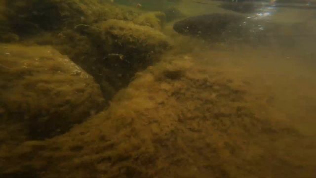 Рыбалка. Таймень ленок хариус. Север смотреть онлайн