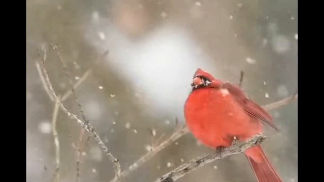 Зеркало души Как зеркало можно использовать и меры предосторожности Как очистить зеркало смотреть онлайн