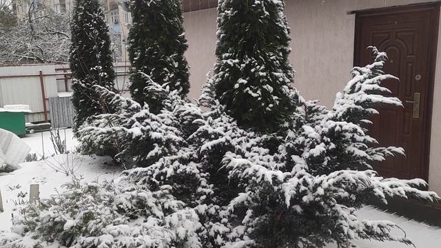 С Рождеством Христовым,дорогие друзья!!!❄❄❄ смотреть онлайн