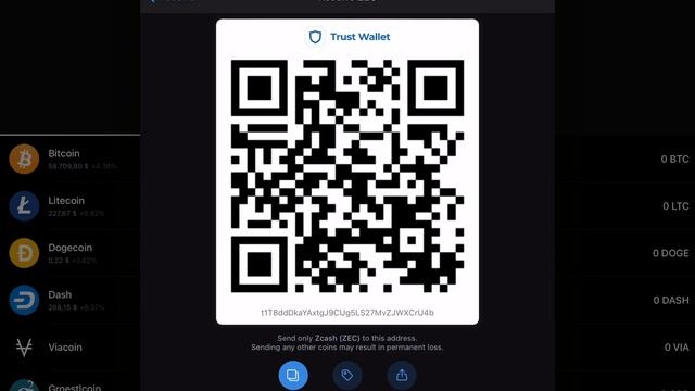 How to get Zcash on Trust Wallet? - Trust Wallet Tips смотреть онлайн