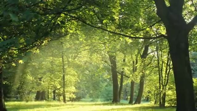 Emotional Healing Music, 432 Hz, Stress Relief, Meditation Music, Spa, Wipes out Negative Energy смотреть онлайн
