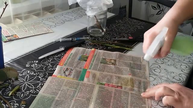 Размножение черешни Размножение Буррито!!! смотреть онлайн
