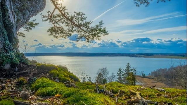 Мы вам поможем! Как родители мужа помогали квартиру купить.Истории из жизни смотреть онлайн