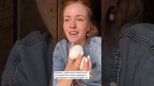 А ВЫ ЗНАЛИ ЧТО ПЕТУХ КУРИЦАМ НЕ НУЖЕН #животные смотреть онлайн