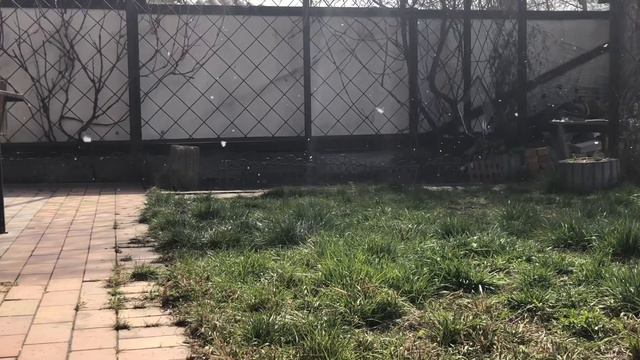 Мороз и солнце, день чудесный.. А в Киеве снег) смотреть онлайн