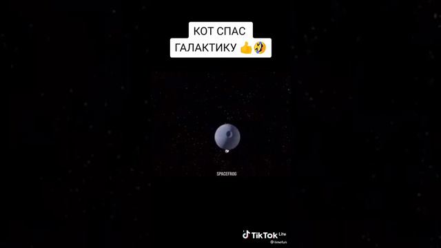 кот спас галактику смотреть онлайн