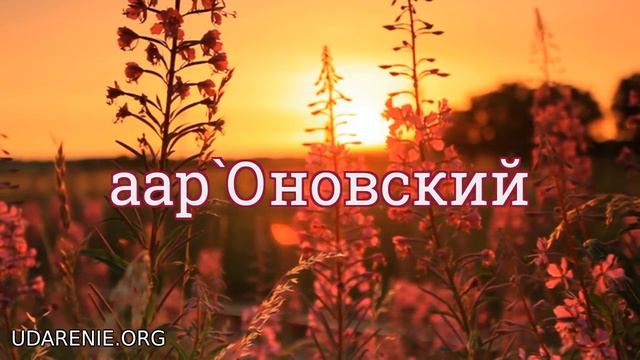 ? ЕГЭ 2020 - Где правильное ударение в слове «ААРОНОВСКИЙ»? смотреть онлайн