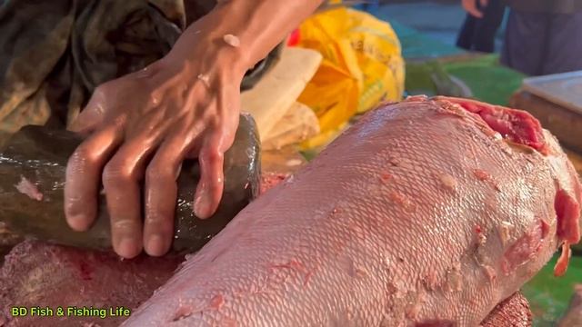 Fastest Big Grouper Fish Cutting Skills | Fish Cutting Skills
