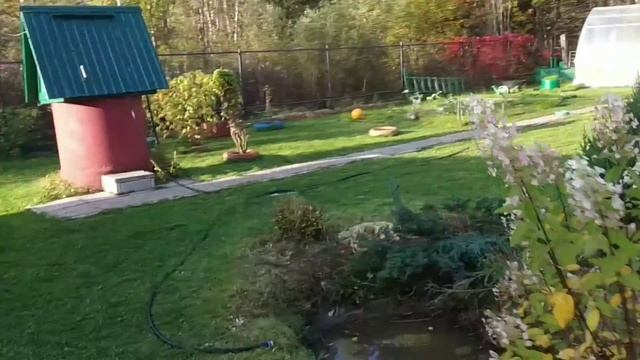 Дача в Подмосковье: чудесное бабье лето! смотреть онлайн