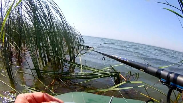 Летняя мормышка на карпа .Ловим в любую погоду. Часть первая смотреть онлайн