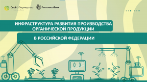 Инфраструктура развития производства органической продукции в Российской Федерации
