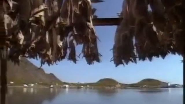 Норвегия Круиз «Хуртигрутен» Среди величественных фьордов смотреть онлайн