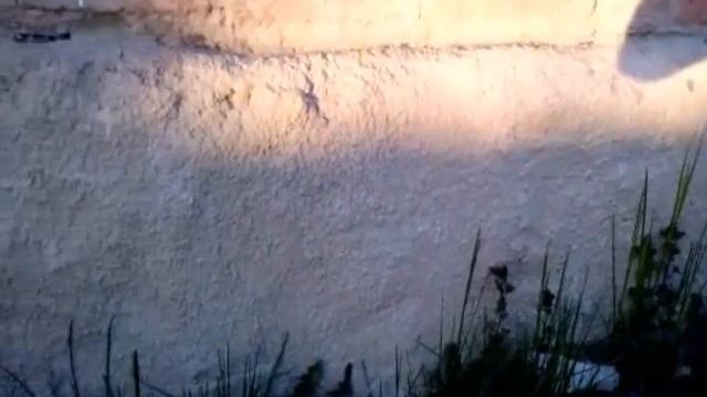 Машинка для нанесения "шубы" своими руками смотреть онлайн