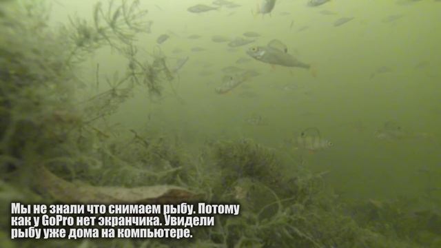 Зимняя рыбалка. Подводная съемка...Тур Истории