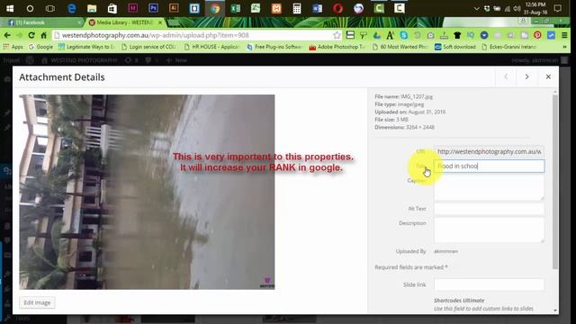 How to upload an image in WordPress site смотреть онлайн