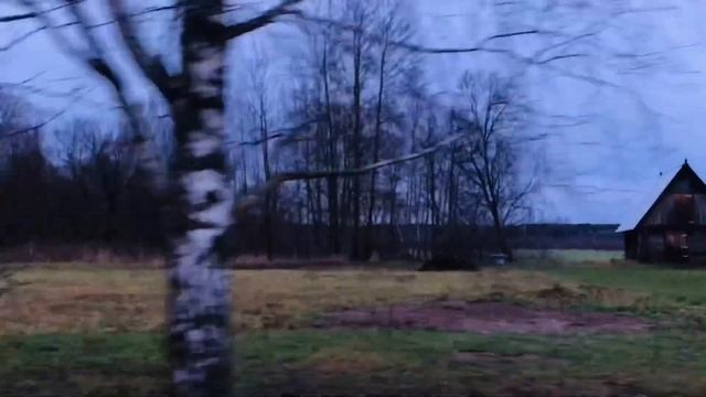 Муха смотреть онлайн