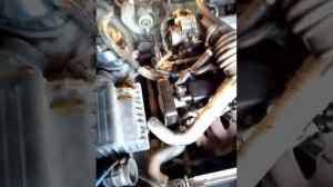 Део нексия проблемы не работает б.н не горит чек причины