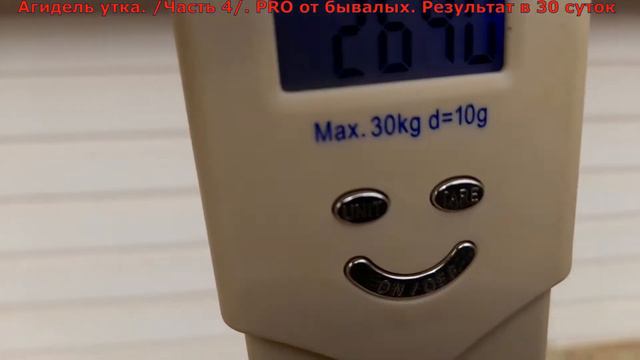 Агидель утка. /Часть 4/. PRO от бывалых. Результат в 30 суток смотреть онлайн