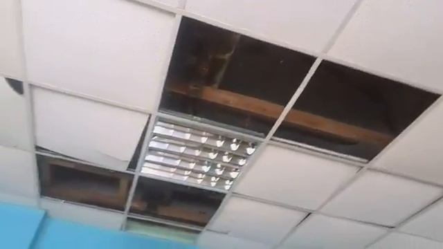 Зал борьбы превратился в болото. Saytoday.ru смотреть онлайн