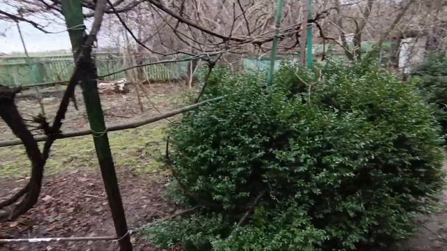 Дом ст. Отрадная Тихорецкий р-он. Цена: 700.000. тел: 8-909-454-85-00 смотреть онлайн