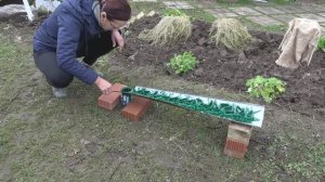 6 соток 8 ноября 2023 года. Хроника. Крашу уголки. Демонтирую лабаз. Укрытие для розы "Сахара"