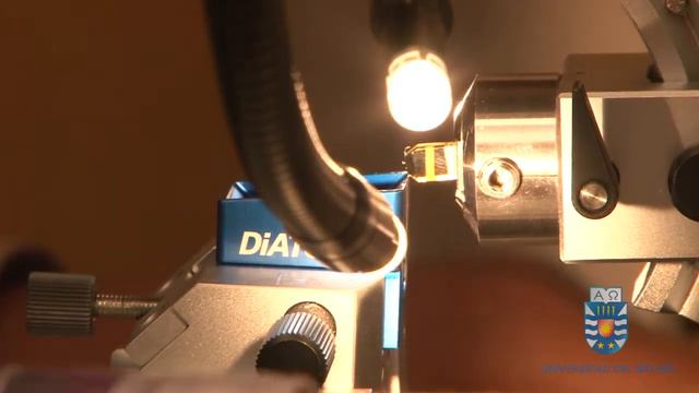 Dir. Dep. Ing. en Maderas de la UBB, William Gacitúa. смотреть онлайн