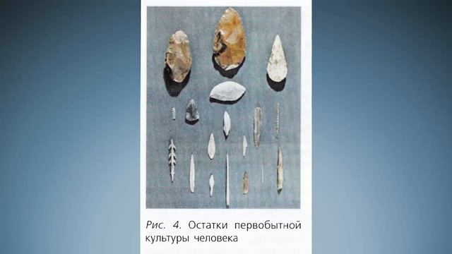 Биология 8 класс $3 Происхождение и эволюция человека. Антропогенез смотреть онлайн