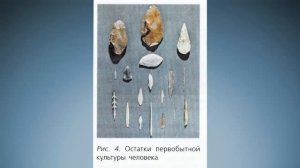 Биология 8 класс $3 Происхождение и эволюция человека. Антропогенез