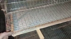 Поддоны для клеток перепелов