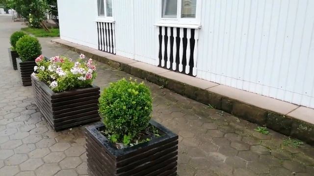 Дивное Дивеево! Август 2020 г. Святое место Руси! #дивеево #дивеевскиймонастырь #монастырироссии смотреть онлайн