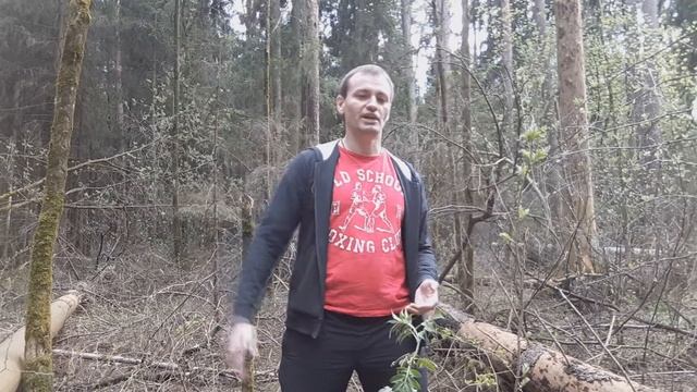 Почему надо заниматься без фанатизма? смотреть онлайн