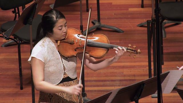 Beethoven "Eyeglasses" Duo for Viola and Cello смотреть онлайн